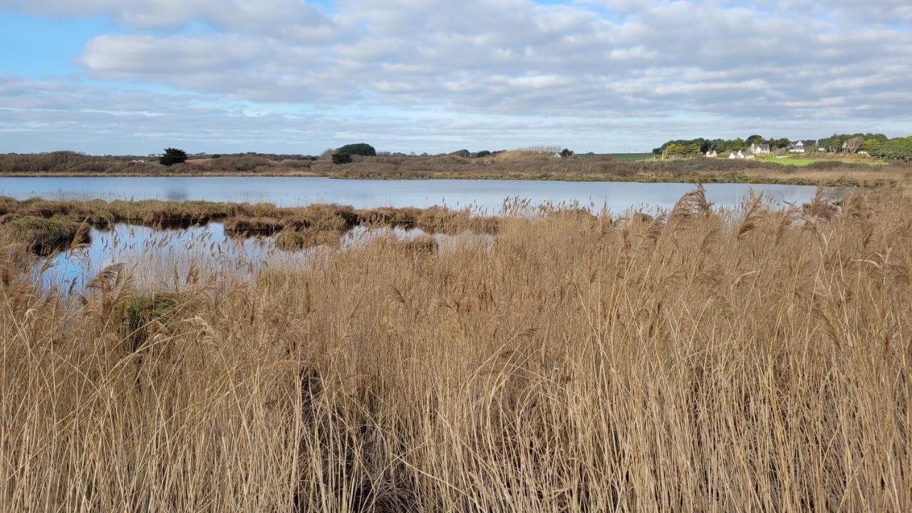 T3 “groix“- 50 M De La De Bloque/ploemeur Appartement